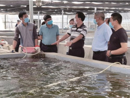 湖北省特殊之年 水產(chǎn)大省的特殊答卷及會議展覽服務