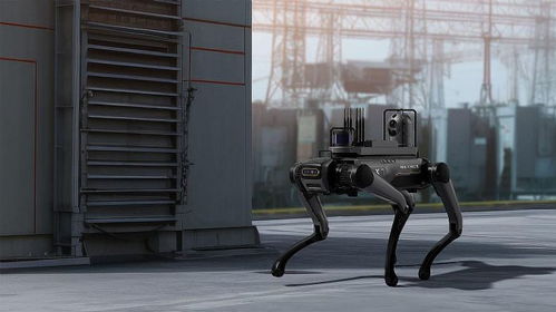 視源股份亮相世界制造業(yè)大會，四足機器人領銜創(chuàng)新產(chǎn)品集中展示