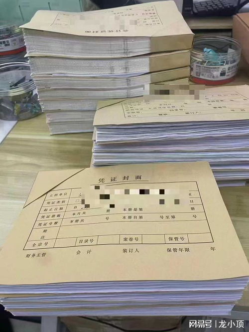 濰坊企業財務首選 龍頂會計服務，專業代理記賬與出口退稅專家